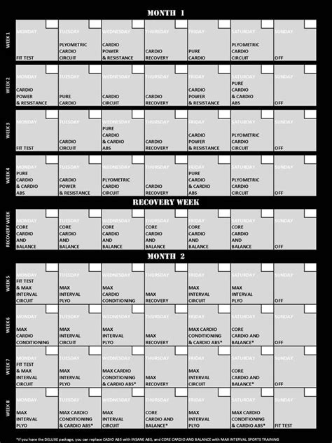 INSANITY Results and Review [+ Calendar and Workout Tips].